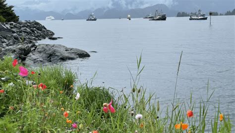 na meetings in sitka|NA Meetings Sitka, AK .